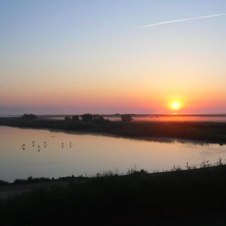 Chambre Les Flamants, Avec Vue Imprenable Sur Les Etangs, Les Oiseaux, Les Flamants Petit Dejeuner Compris Saintes-Maries-de-La-Mer Exterior foto