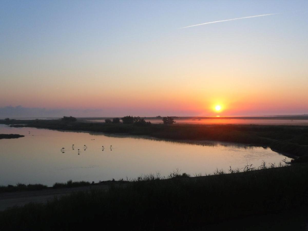 Chambre Les Flamants, Avec Vue Imprenable Sur Les Etangs, Les Oiseaux, Les Flamants Petit Dejeuner Compris Saintes-Maries-de-La-Mer Exterior foto