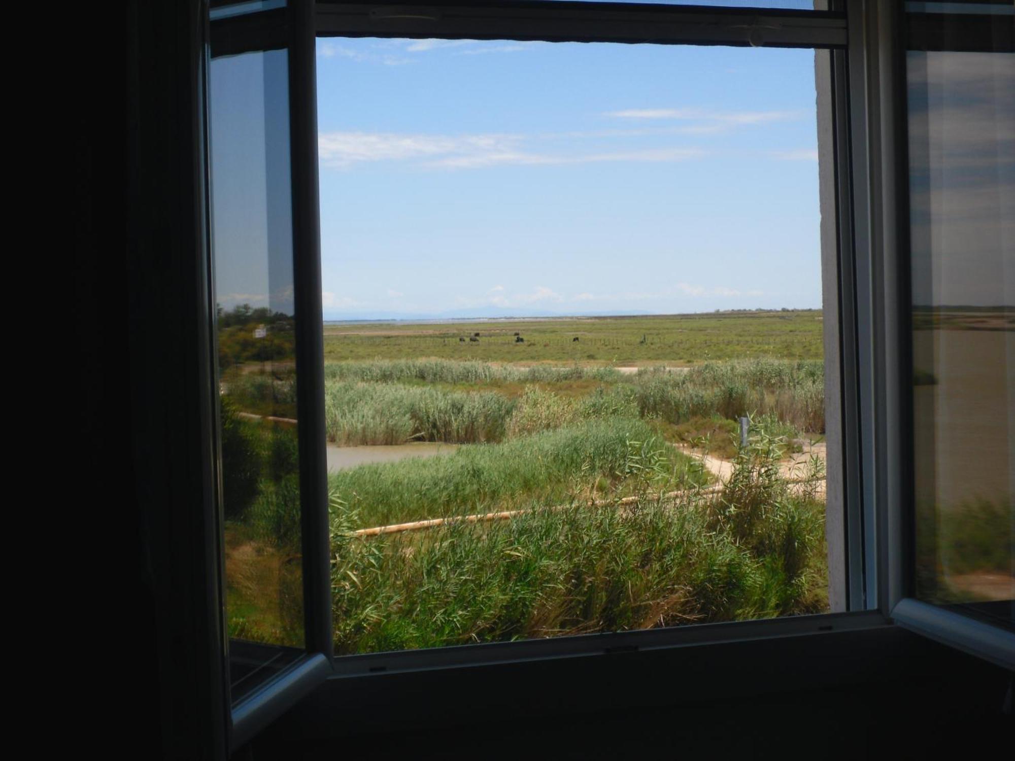 Chambre Les Flamants, Avec Vue Imprenable Sur Les Etangs, Les Oiseaux, Les Flamants Petit Dejeuner Compris Saintes-Maries-de-La-Mer Exterior foto